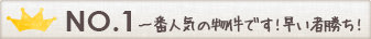ランキング1位